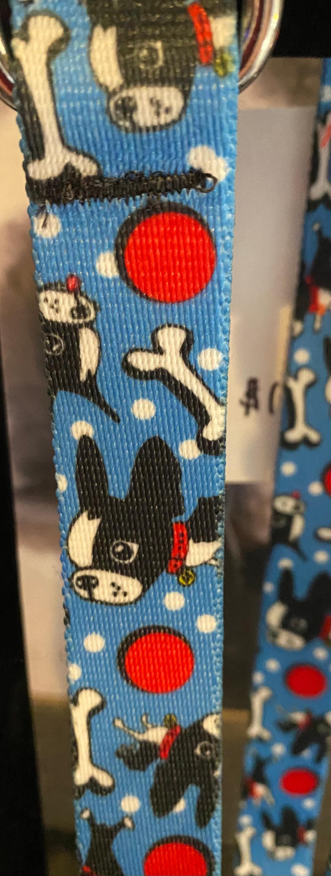 Blue Bones Dog Collars and Leash