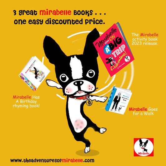 Ooodles of fun Mirabelle BOOK BUNDLE