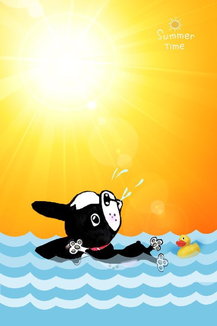 Dog Paddle