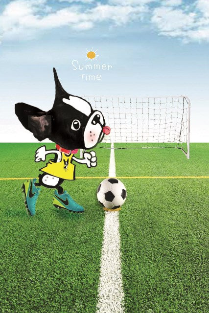 Soccer Goal!