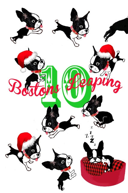 10 Bostons Leaping