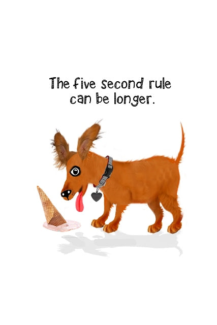 Five Second Rule