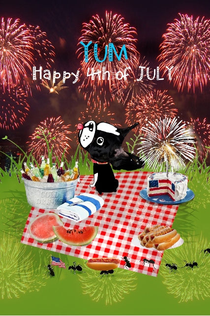 A 4th Picnic