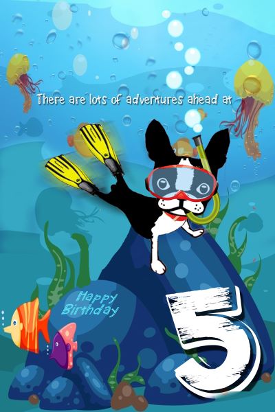 Adventures at FIVE