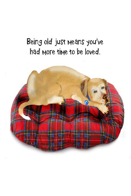 Aging Gracefully with Love