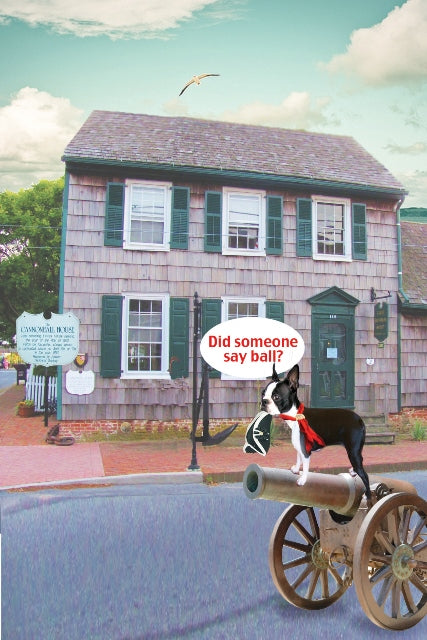 Cannonball House