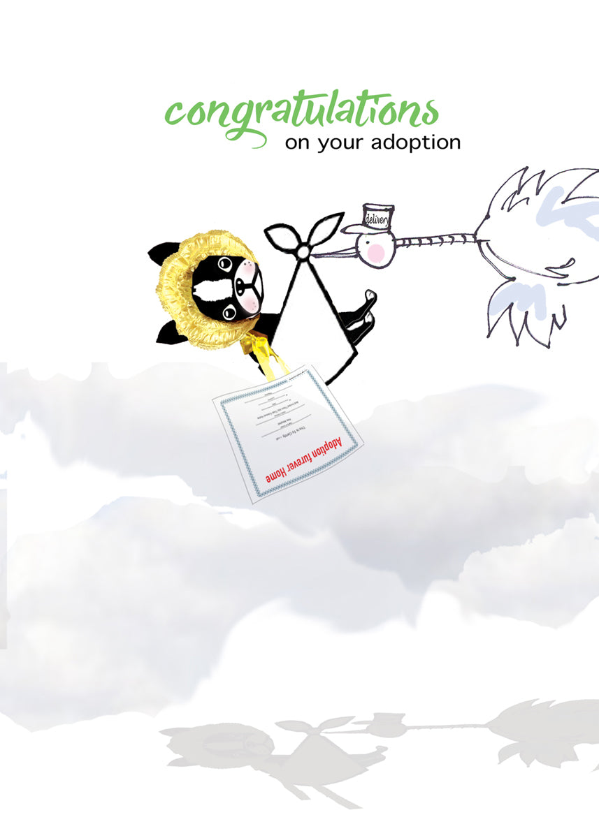 congratulations on your adoption