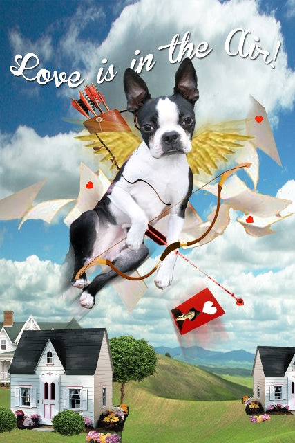 Cupid