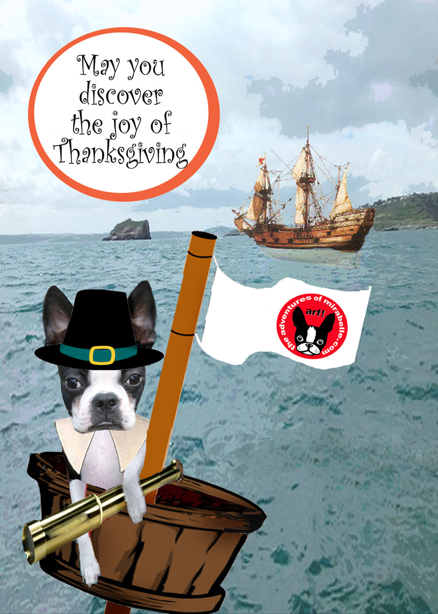 Discover the Joy of Thanksgiving.