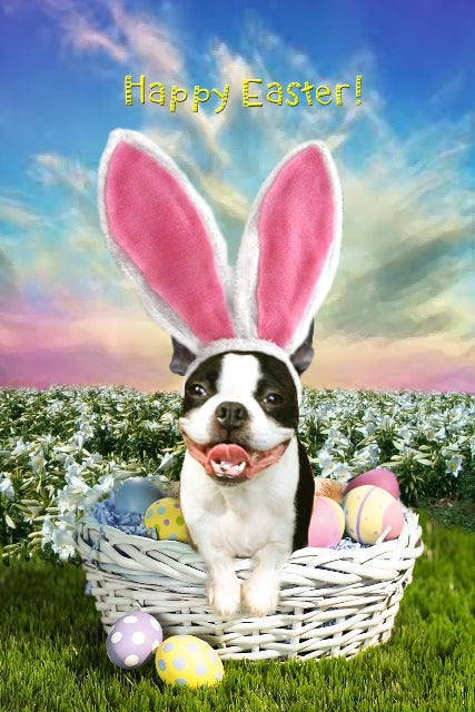 Easter Morning