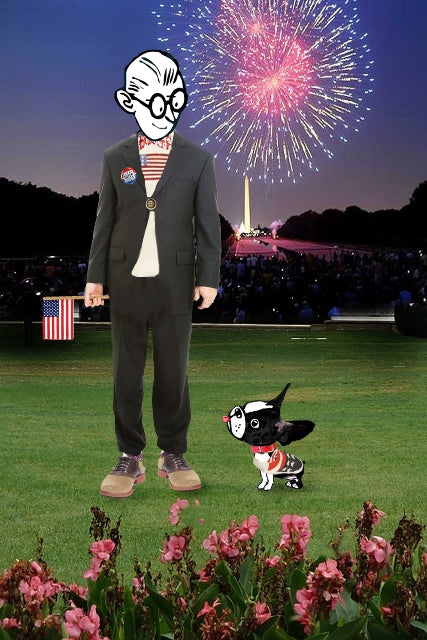 Fireworks in the Nations Capital