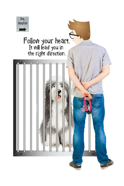 Follow Your Heart