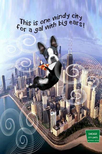 Greetings from the Windy City
