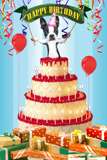 Happy Birthday Surprise!