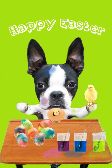 Happy Easter Surprise!