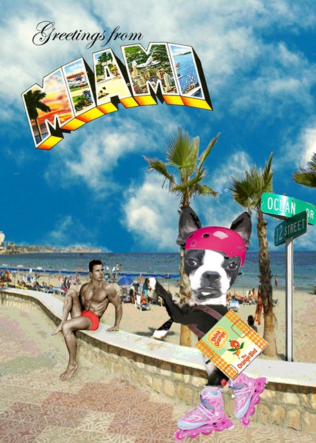 Greetings From Miami