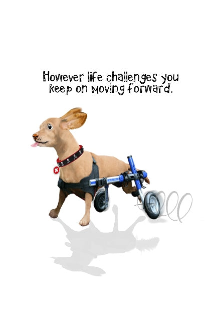 Life's Challenges