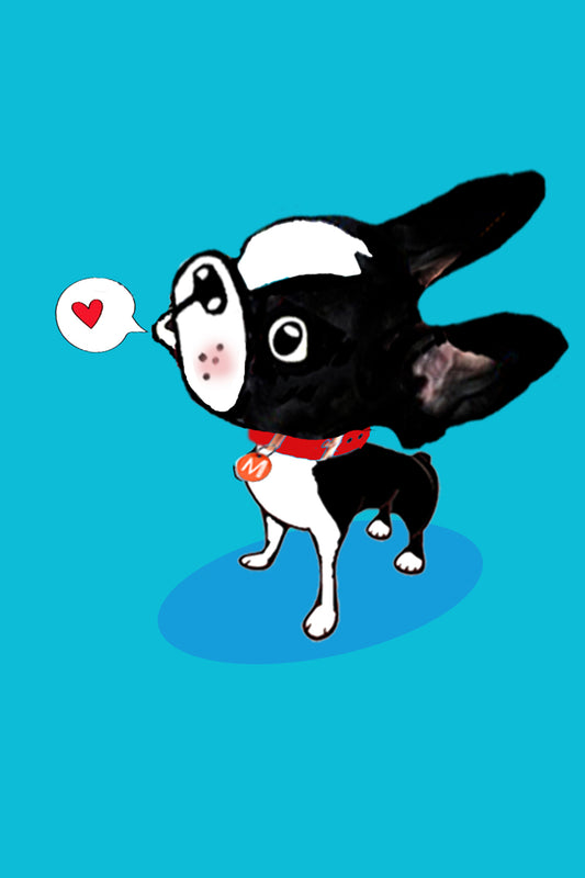 LOVE BARKS