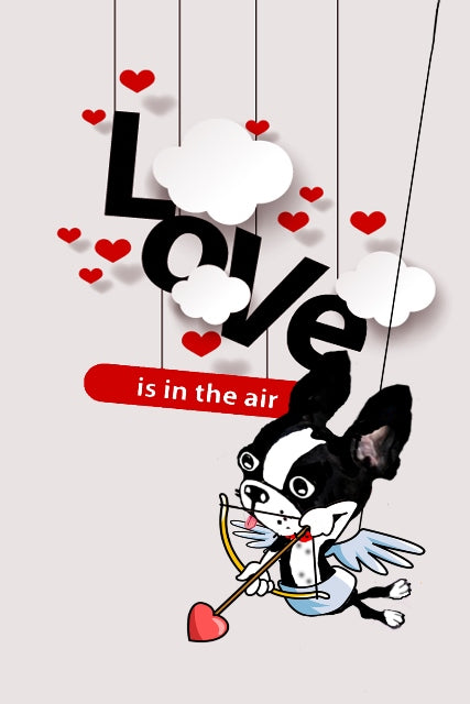 Love Is In The Air
