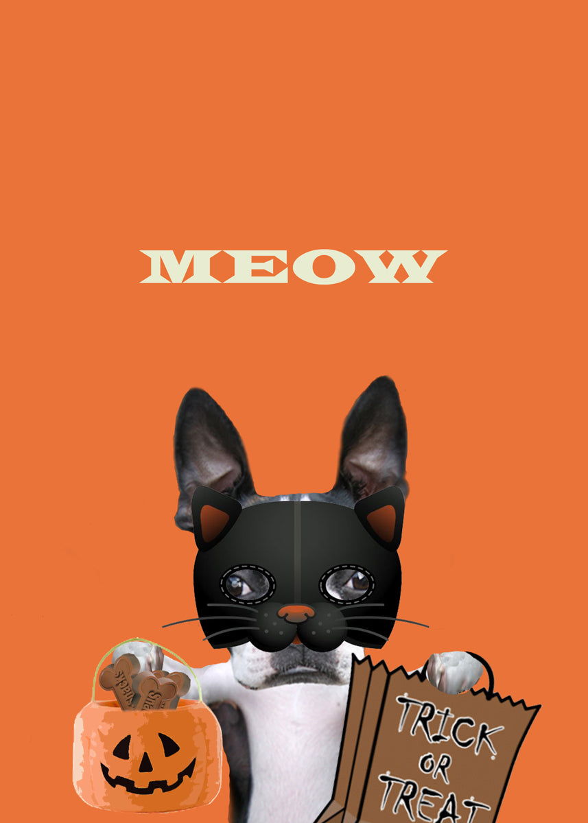 MEOW