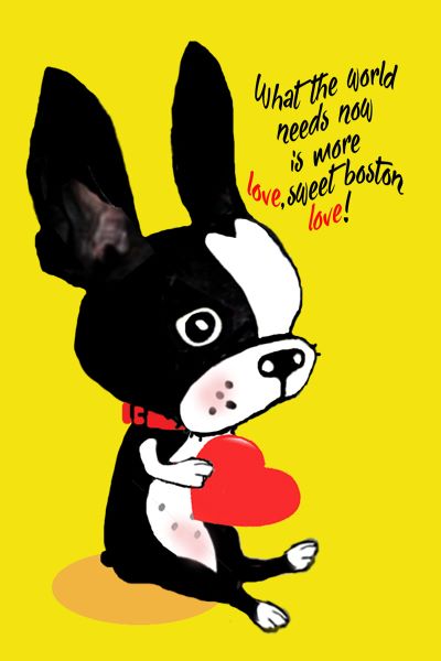 Sweet Boston Love