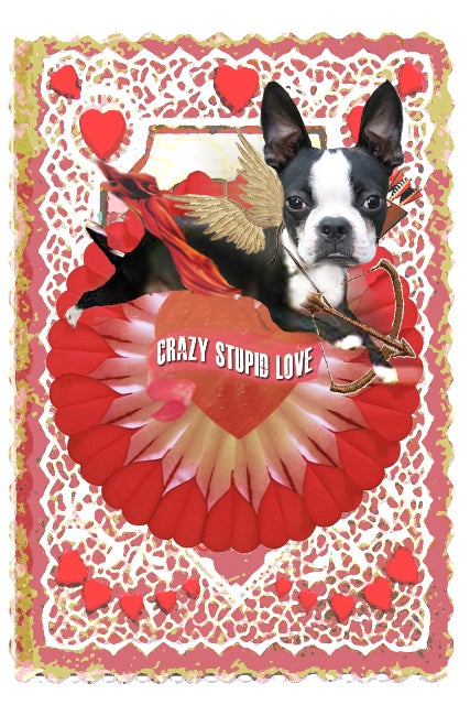 Old Fashioned Cupid