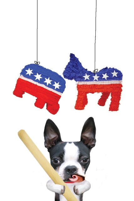 Political Pinata