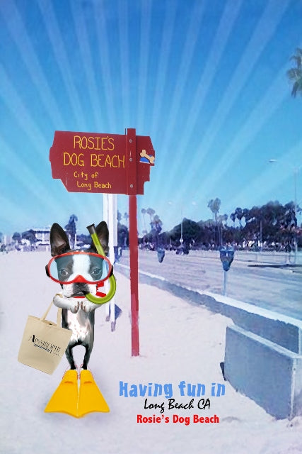 Rosie's Dog Beach