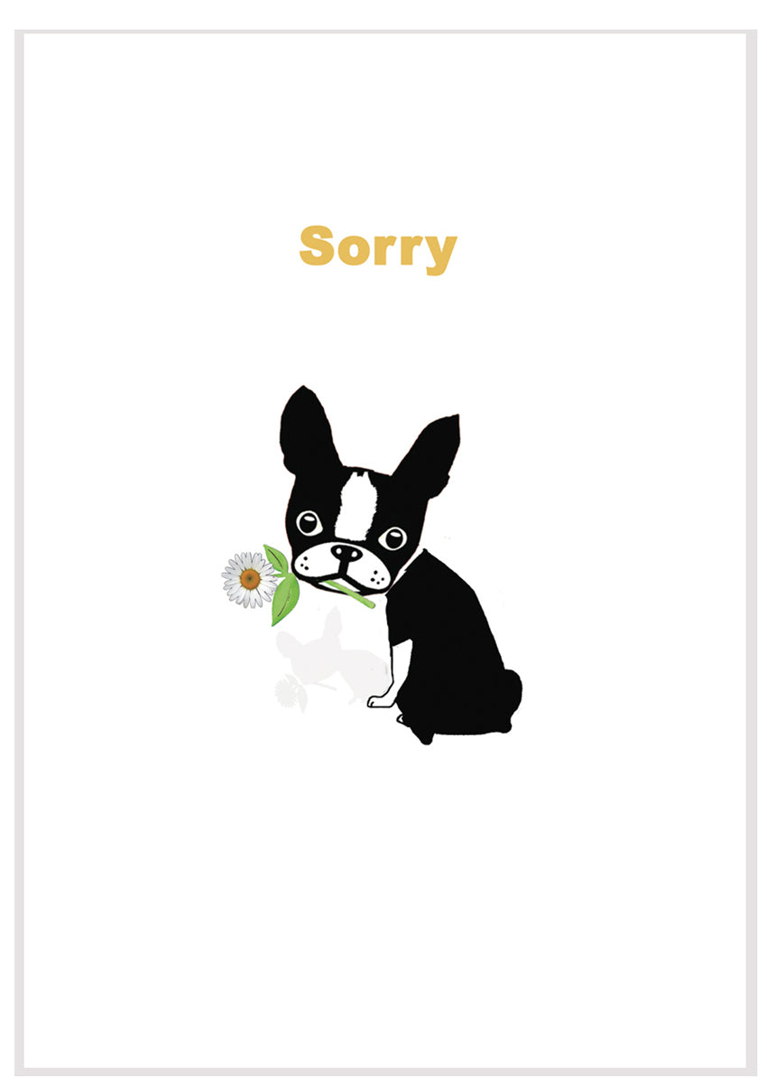 Sorry