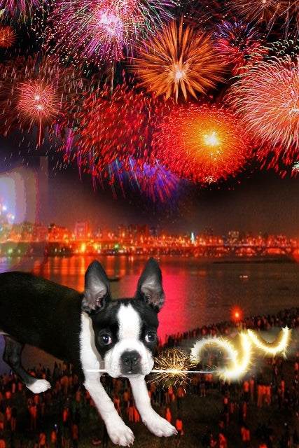 Sparkle Mirabelle