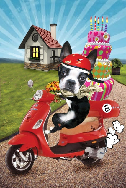 Special Delivery