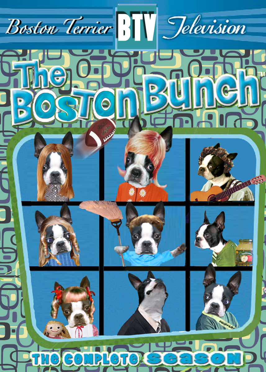 The Boston Bunch
