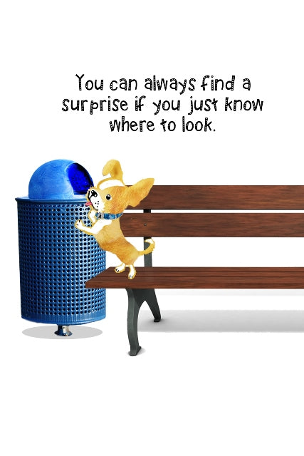 Be Open to Surprise