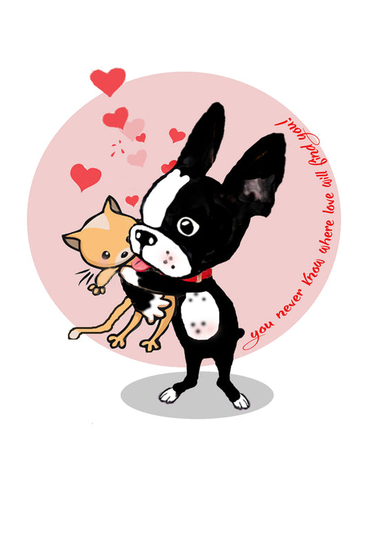 Unexpected love
