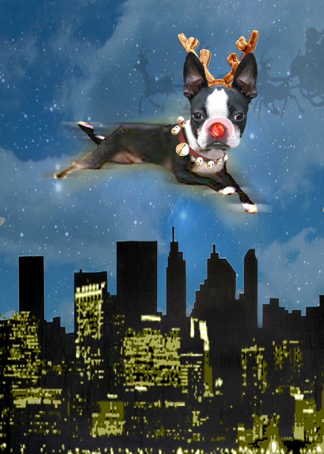 Won't you guide my sleigh tonight?