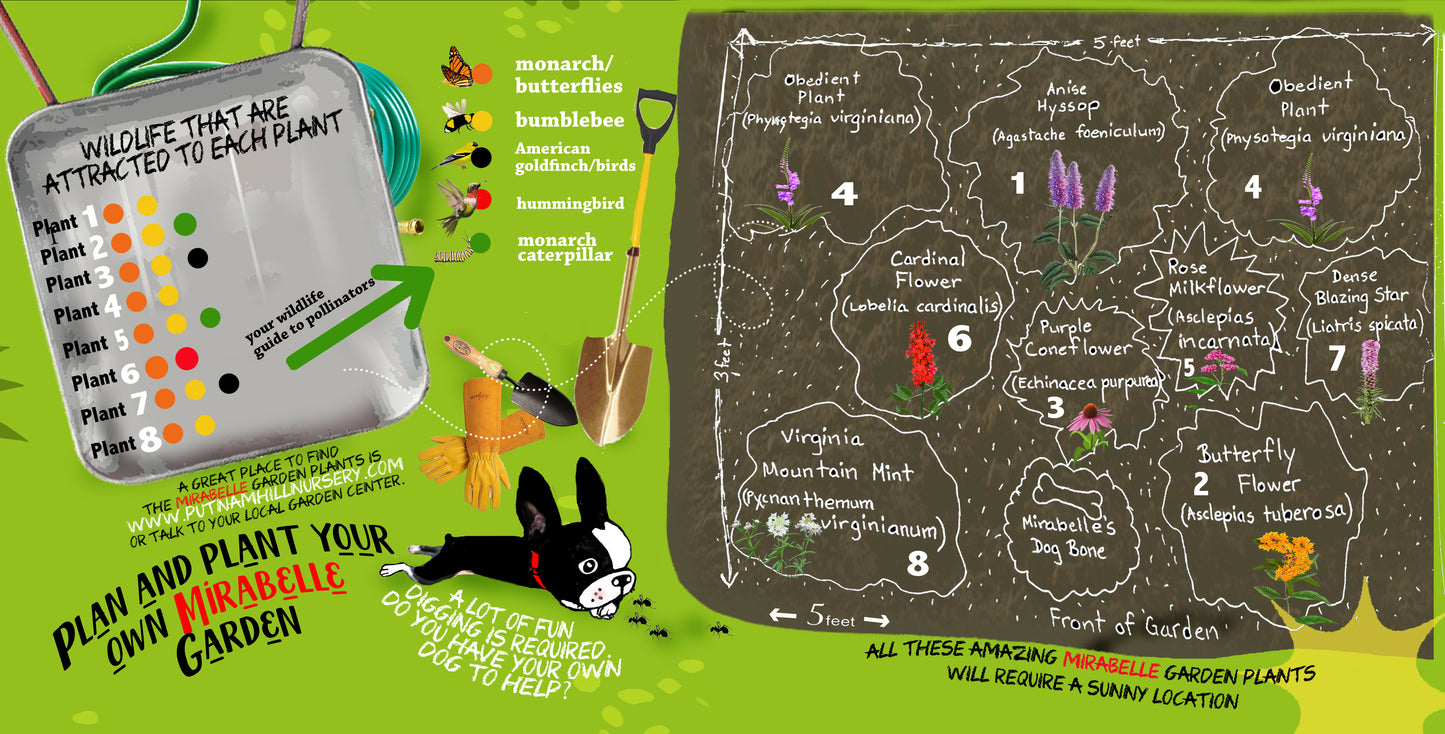 Mirabelle Visits A Garden- A Native Plant Garden Adventure