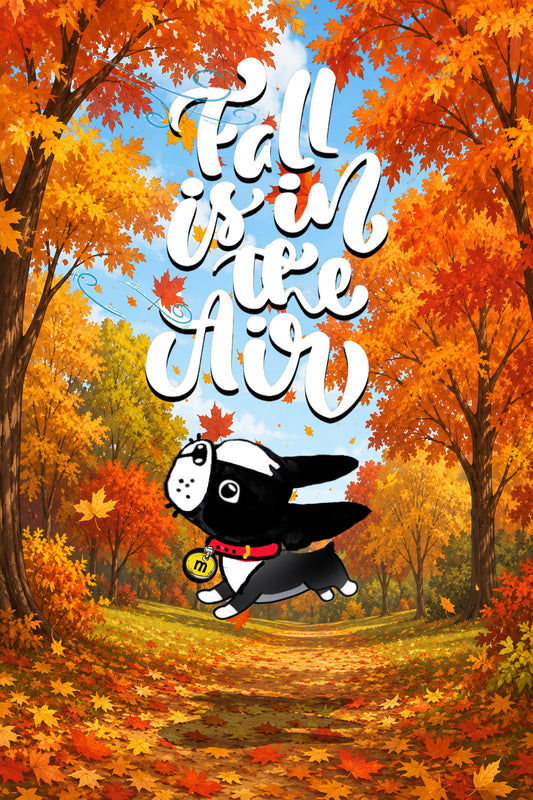 Fall Is In The Air