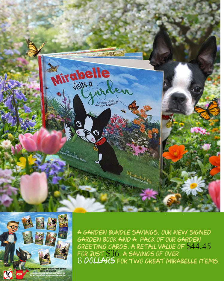 Mirabelle Visits a Garden / Greeting Cards Book Bundle