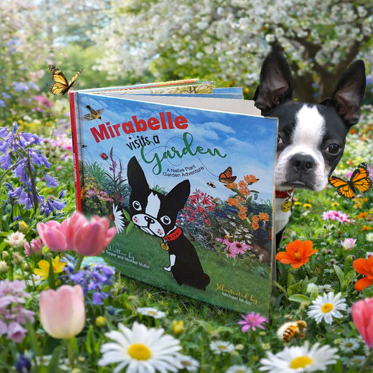 Mirabelle Visits A Garden- A Native Plant Garden Adventure