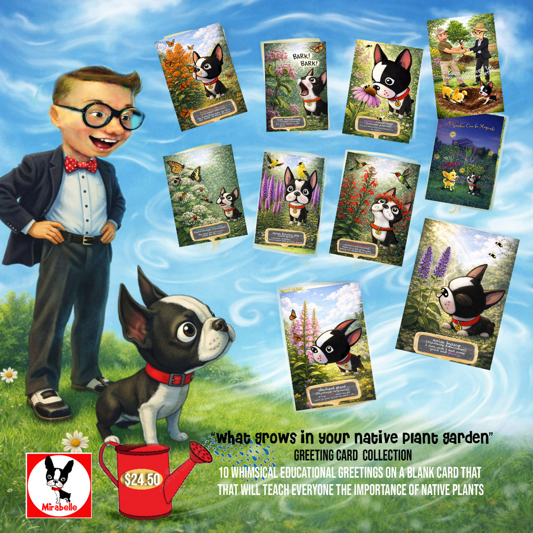 Mirabelle Visits a Garden / Greeting Cards Book Bundle