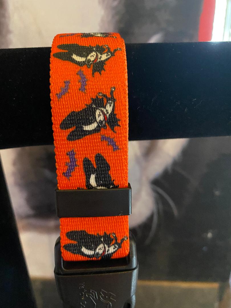 Mirabelle Halloween Dog Collars and Leashes