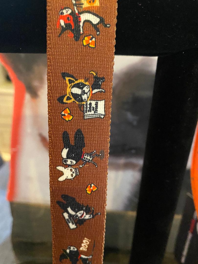 Mirabelle Halloween Dog Collars and Leashes