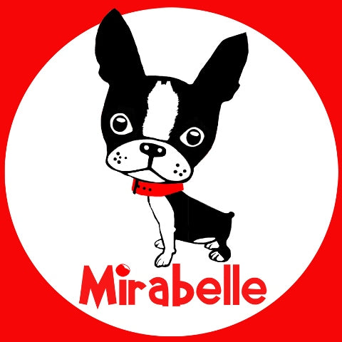 Custom Box Set of Mirabelle Get Well Greeting Cards