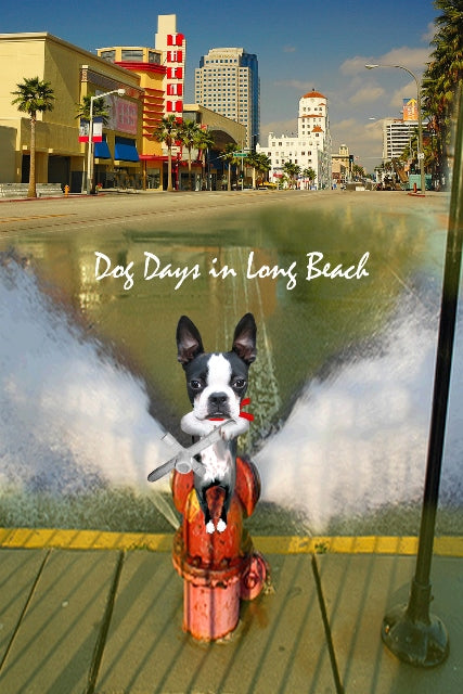 Dog Days in Long Beach