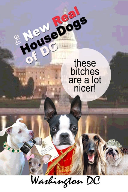 In The Dog House