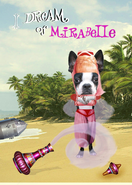 I Dream of Mirabelle