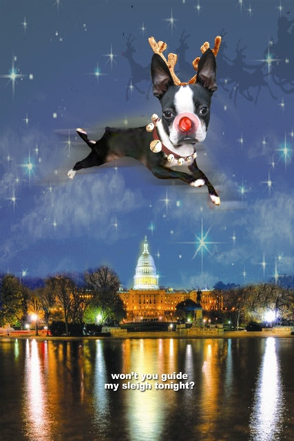 Mira Reindeer Over the Capitol