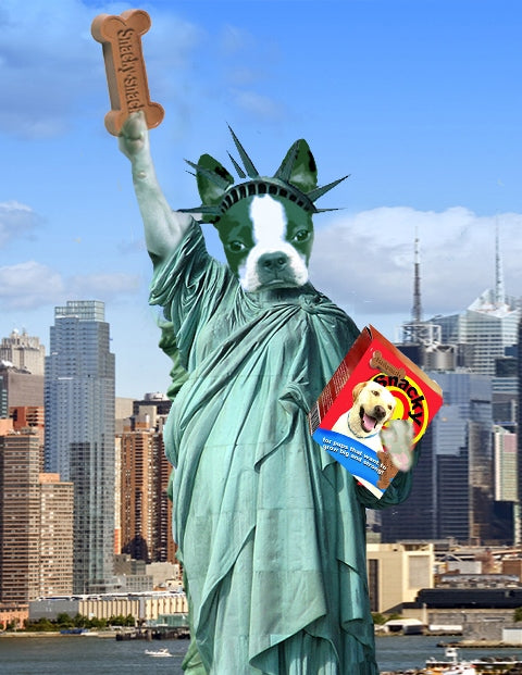 Miss Liberty