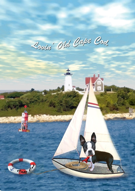 Sailing the Cape