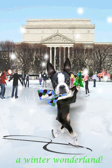Skating the Sculpture Garden